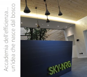 www.sky-nrg.com