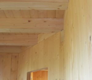 pareti in legno